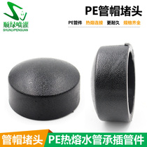 PE pipe plug plug cap live hot melt socket intubation plug HDPE water supply pipe fittings Pipe fittings 20 25 4 points