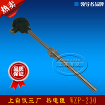 Shanghai Automation meter Three plants Thermal resistance WZP-230 231 -200-450 degrees M27 * 2