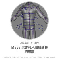 AboutCG maya Binding technology Refinement Tutorial-Beginner Character binding tutorial Animation binding