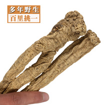 Wild Dang Shen Premium Extra Large 250g Pure Wild Dang Shen Dang Shen Dang Shen Dang Shen Dang Shen Dang Shen Dang Shen Dang Shen Dang Shen Dang Shen Dang Shen Dang Shen