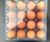 16 medium egg trays light eggs salted eggs foreign egg trays plastic blister packaging boxes nest diameter 45