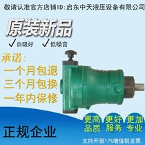 Factory direct high quality high efficiency and low noise 63SCY 63SCY14-1B variable plunger pump