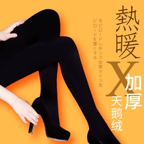 Thickened stockings pantyhose autumn and winter goose down leggings female anti-hook stockings winter thick tights female