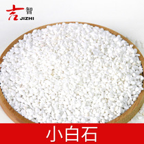 Micro landscape DIY succulent plant paving small white stone stone pebbles fleshy landscape plant decorations