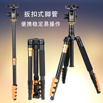 Light-mounted era Q570A portable tripod SLR camera triangle bracket pan-tilt micro single photography stand