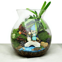  Moss micro-landscape Micro-landscape ecological bottle Creative green plant Micro-landscape ecological bottle Small bridge running water