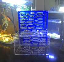 Falling Snow Ant Pavilion ‖ Acrylic Ant Nest ‖ D4