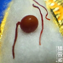 Burmese Buddhist Temple Sakyamuni Buddha XM strong son 3-4MM knot for the stupa to send Gully box