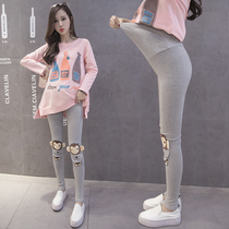 Pregnant womens autumn clothing suit stylish clothing in the middle of a long net red gestation woman dress with dress and dress for a large code blouse for women