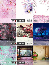 Anchor live broadcast background Taobao costume photo background Ke Er bjd Barbie doll ancient photography background