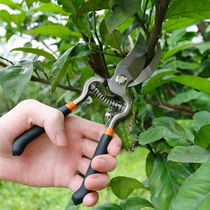 8 inch 10 inch heavy garden scissors garden tools flower scissors pruning scissors gardening scissors hardware tools