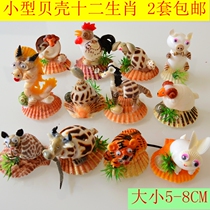 Promotion conch shell ornaments Home accessories Shell crafts Home furnishings Shell animals 12 zodiac