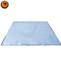 Freedom boat Camel moisture proof mat Outdoor picnic cushion Picnic camping outing mat Grass aluminum film moisture proof mat