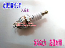 Lawn mower two-stroke spark plug burner igniter gasoline saw spark plug hedge trimmer ignition nozzle universal accessories