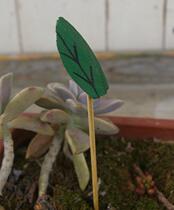 Meat Flesh & Grass Companion Mini Green Leaf Small Plug-in Mini Flower Inserts Small