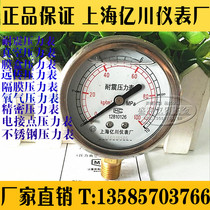 Shanghai 100 million Sichuan YN60-1 6MPA Shock Pressure Gauge Oil Pressure Gauge 0-1MPA Radial Full Spec
