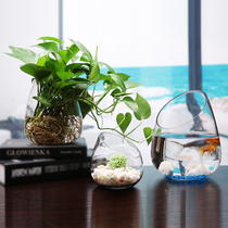 Simple European living room Transparent glass vase Hydroponic green dill flower tea table decorative ornaments Mini aquarium fish tank