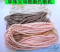 Natural Sea Snail Shells Pearl Bay Shells Pink Necklace Colorful