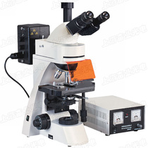 Scientific Research Grade Three-Mesh Downshot Fluorescence Microscope BGUUV4 Color Fluorescence Excitation Group