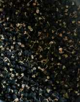 2021 Xinjiang planting Lycium ruthenicum in bulk 50g two copies can be bottled and photographed to call the owner to change the postage