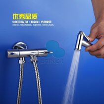 Export German all-copper multifunctional toilet toilet spray gun set toilet multi-purpose angle valve spray gun four-piece set