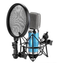 ISK RM-12 high-grade aluminum strip condenser microphone computer karaoke equipment recording microphone dubbing