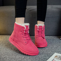 Comfort Winter New Snow Boots Female Korean version Tide Short Boots Warm Thickening Short Barrel Lace Martin Boot Student Cotton Shoe