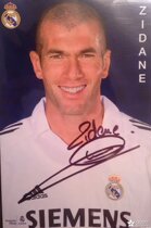 (Shopkeeper) Zidane autograph Real Madrid France Qi Zizu autograph official