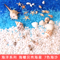 Cream Gum Diy Hand Casing Materials Sea Sand Sea Star Sea Snail Shells Handmade Homemade Drop Glue Pendulum Table Marine Accessories