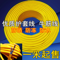 Factory direct sales flame retardant wire two-core soft wire waterproof outdoor row plug material beef tendon sunscreen sheath wire antifreeze