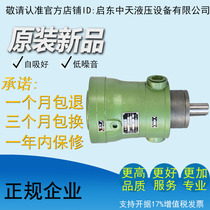 Manufacturers direct sales high efficiency low noise axial piston pump 16MCY 16 MCY 14 - 1B plunger pump high pressure pump