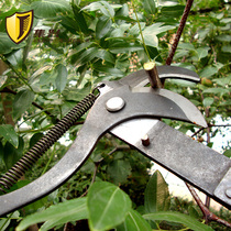 High-branch scissors head belt rope high-altitude shears garden scissors fruit-picking prunes high-altitude pruning