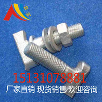 Direct selling galvanized glass curtain wall T-Bolt haffin groove Bolt curtain wall screw M20