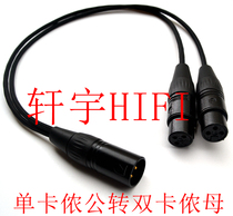 Kannon turns double - Kannon mother Kannon 1 turns 2 mother Kanon microphone XLR one - second microphone wire