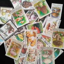 Foreign original package mushroom topic 100 kinds of different non-repeat large and medium-sized stamps collection full 100 Express