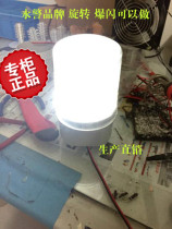 YCKJ1101 white light has been bright decorative Park Bridge corridor villa grass lighting glowing white light