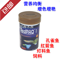 Peacock fish red swordfish Black Mary small tropical fish food co-growth pro-growth ornamental fish tropical fish feed