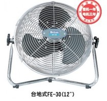Deventilator FE-30 Terrace Type Fan 12 Inch 300MM Up And Down Adjustable Groveling Fan