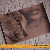 Bobcat photography picture dust and snow decorative painting ashessnow poster wild summoning retro decorative painting core