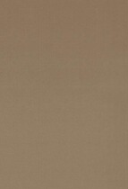 Curry color background antique classical painting background pregnant girl meticulous painting background PZ-1415