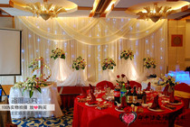 New wedding props wholesale luxury stage cloth curtain background gauze curtain stage background Sharman wedding decoration