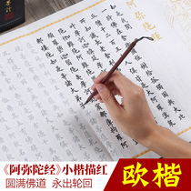 Amitabha Scriptures calligraphy Buddhist scriptures beginner calligraphy beginner calligraphy copying scriptures tracing red rice paper