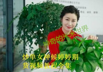 Fried single goddess Hou Tingting 3800 yuan internal training class Hou Tingting advanced core futures training video tutorial