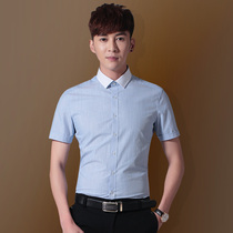 Summer short sleeve striped shirt men's Korean version of slim business professional formal dress contrast collar non-iron inch shirt youth shirt