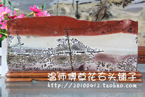 (Grass stone Chinese painting stone stone ornaments) Purple Cui Ying with Chunxia Red boutique z4766#