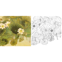 Meticulous painting line drawing bottom draft Lotus bucket 66*66 physical white paper printed draft with color picture 409T