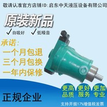 Factory direct high quality and high efficiency low noise 160PCY 160PCY14-1B Qidong high pressure plunger pump