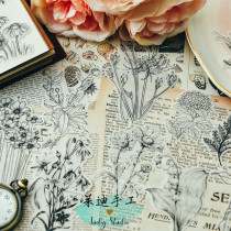 Judy handmade vintage hand account material TN black and white hand-painted line draft flower 58 pieces of plant guide