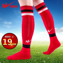 Qingdao double star knee stockings football socks men and women children stretch socks breathable thickening