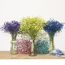 Gypsophila small vase with flowers set glass home clear living room modern simple TV cabinet ornaments